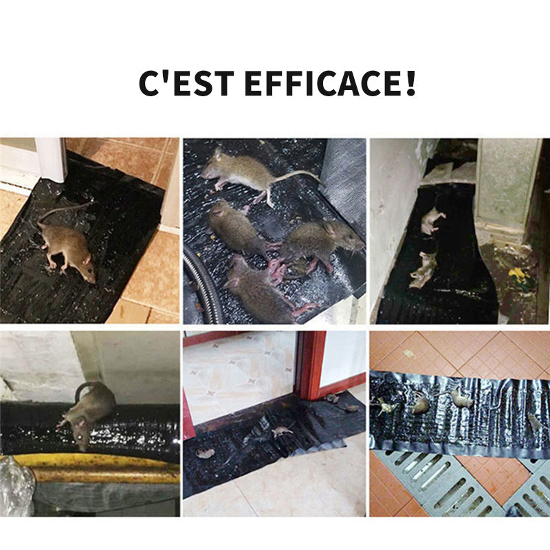 😎Piège à souris à détection😎