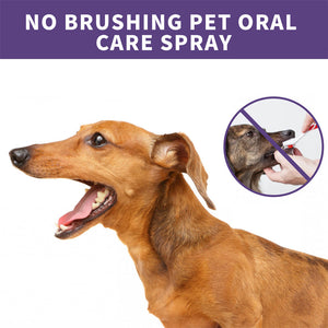 Teeth Cleaning Spray for Dogs & Cats